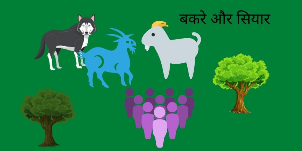 bakre and wolf panchatantra in hindi