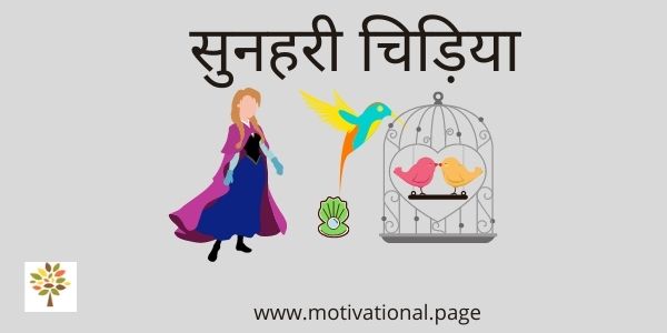 चिड़िया की कहानी ( Bird story in hindi for kids ) | Dhirus